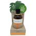 Coconutoil - Bio bronzana ulja (80ml)